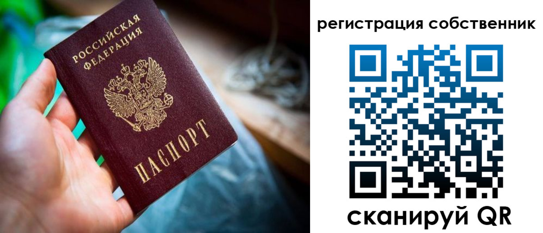 прописка гарантия в Реже